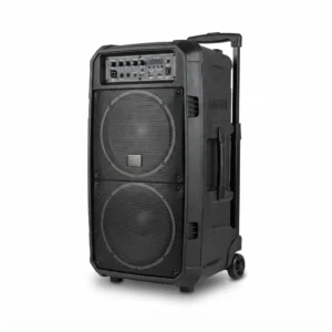 Cajón de bocina Audiomax doble 10" recargable