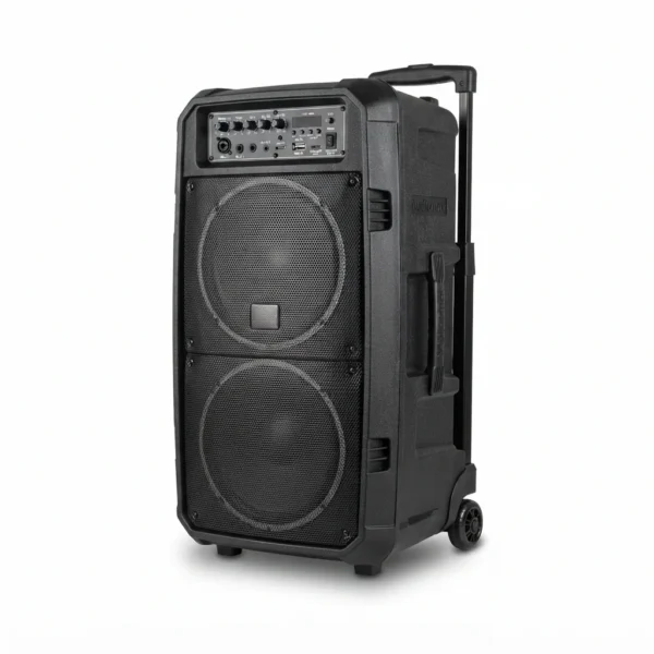 Cajón de bocina Audiomax doble 10" recargable