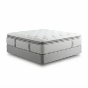 Juego de colchón Nacional Dual Comfort pillow top 60x74