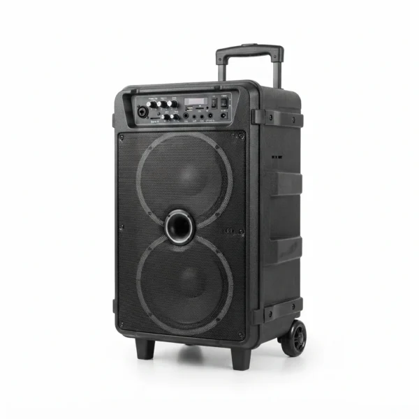 Cajón de bocina doble 10" recargable